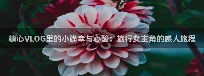 糖心vlog作品封面:糖心VLOG里的小